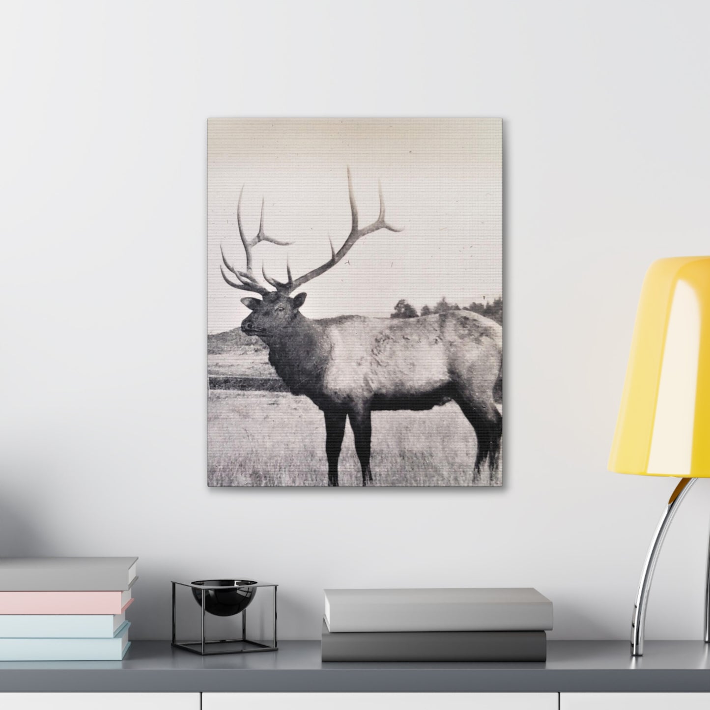 Yellowstone Bull Elk Canvas Gallery Wraps