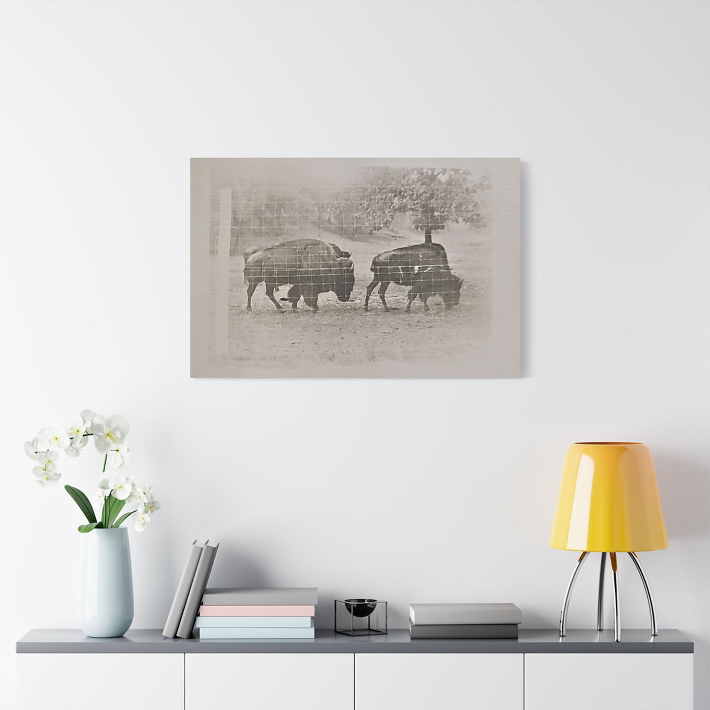 Buffalo at Redwood Falls Satin Canvas, Stretched