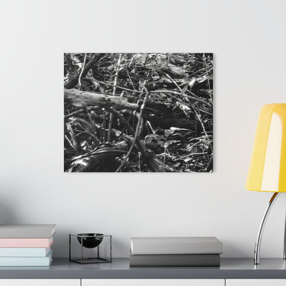 Black & White Deep Timber Path Acrylic Print French Cleat Hanging - - Home Decor