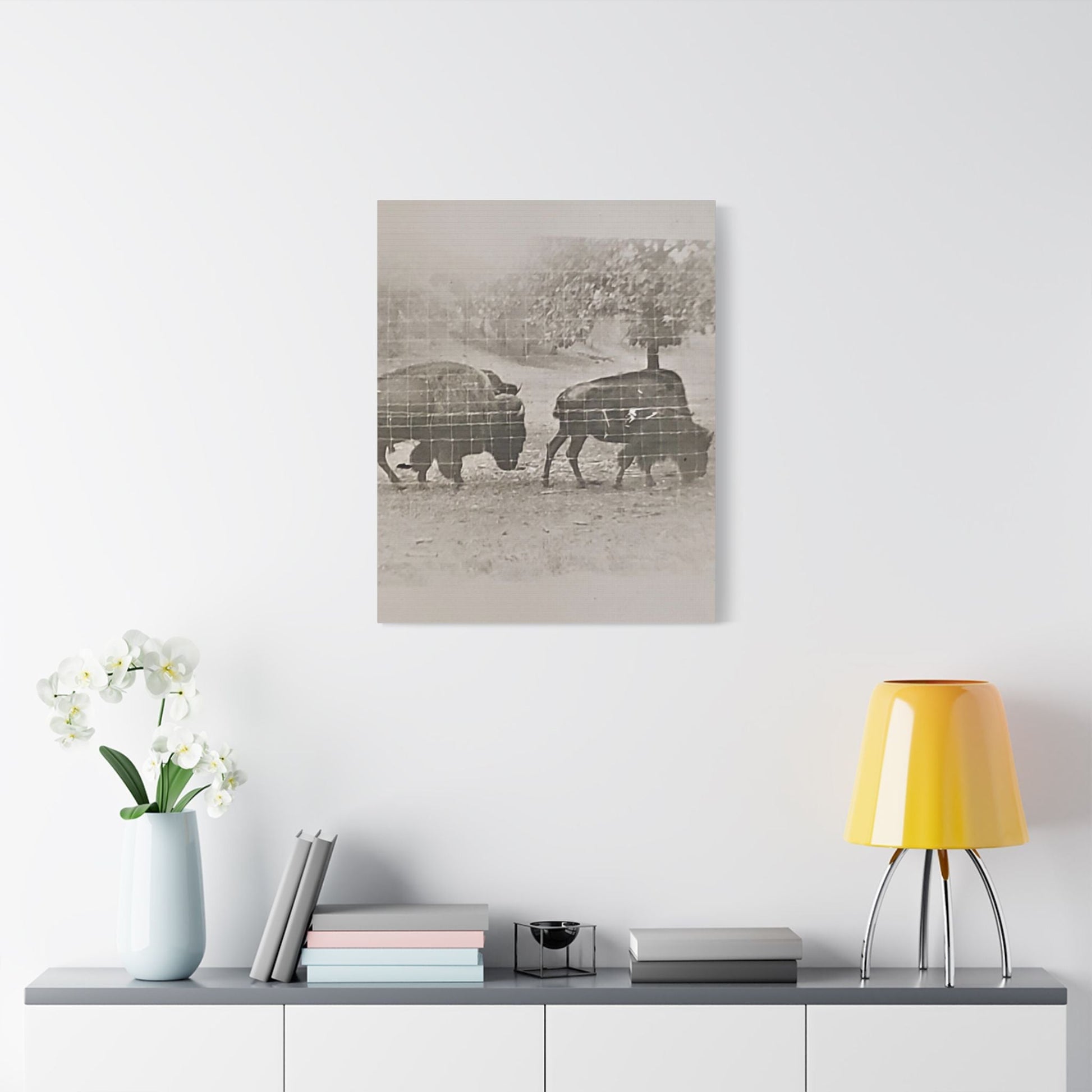Buffalo at Redwood Falls Satin Canvas Stretched - 24" x 30" (Vertical) 1.5" - Canvas