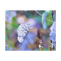 Macro Blue Canvas Gallery Wraps 30″ x 24″ 1.25"