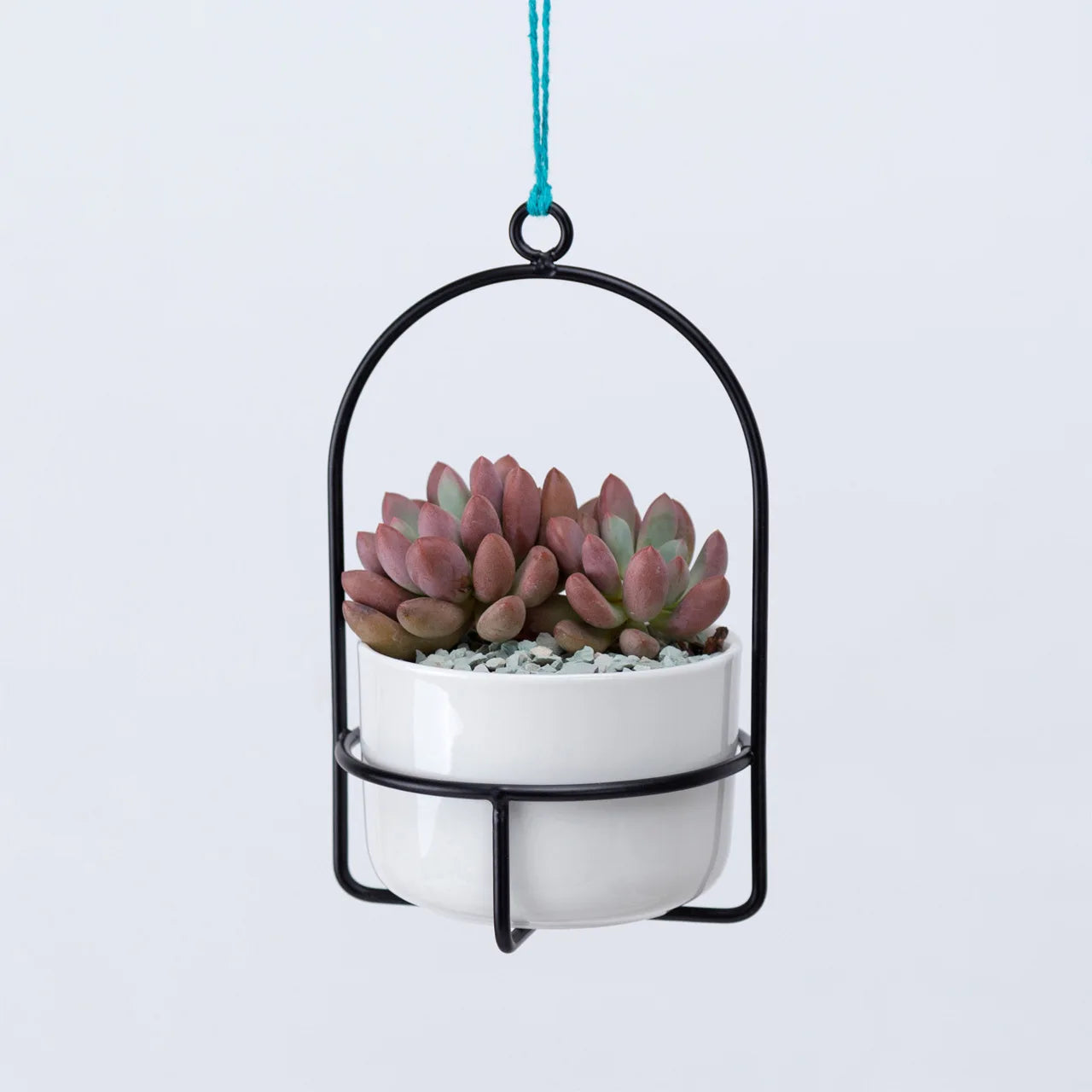 Mini Hanging Planters for Window 3.9" Ceramic Plant Pot With Metal Hangers