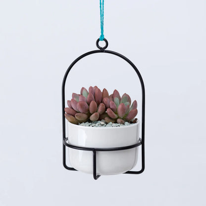 Mini Hanging Planters for Window 3.9" Ceramic Plant Pot With Metal Hangers