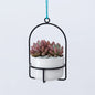 Mini Hanging Planters for Window 3.9" Ceramic Plant Pot With Metal Hangers