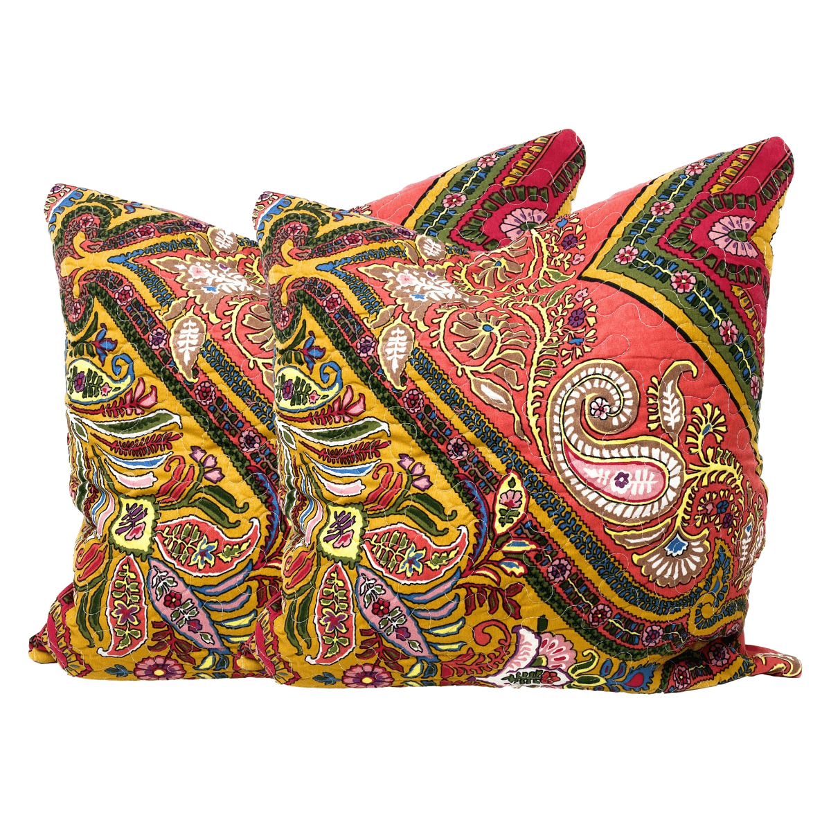 Tache Intricate Floral Paisley Chevron Hanging Gardens Cushion Cover 2-Pieces (HS3148) - 18 x 18 | 2-pack - Euro Sham / Cushion Cover