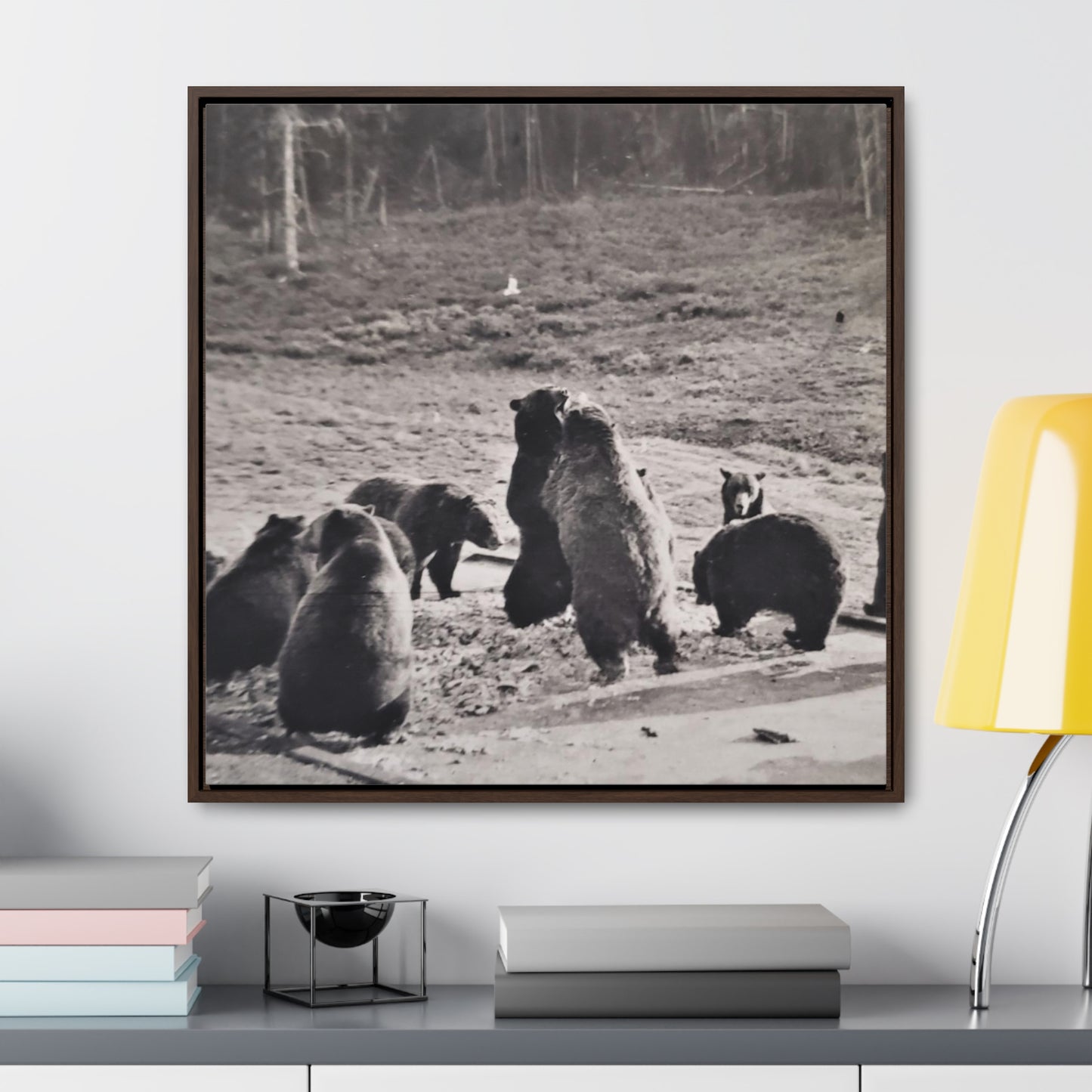 Yellowstone Grizzly Bears Gallery Canvas Wraps, Square Frame