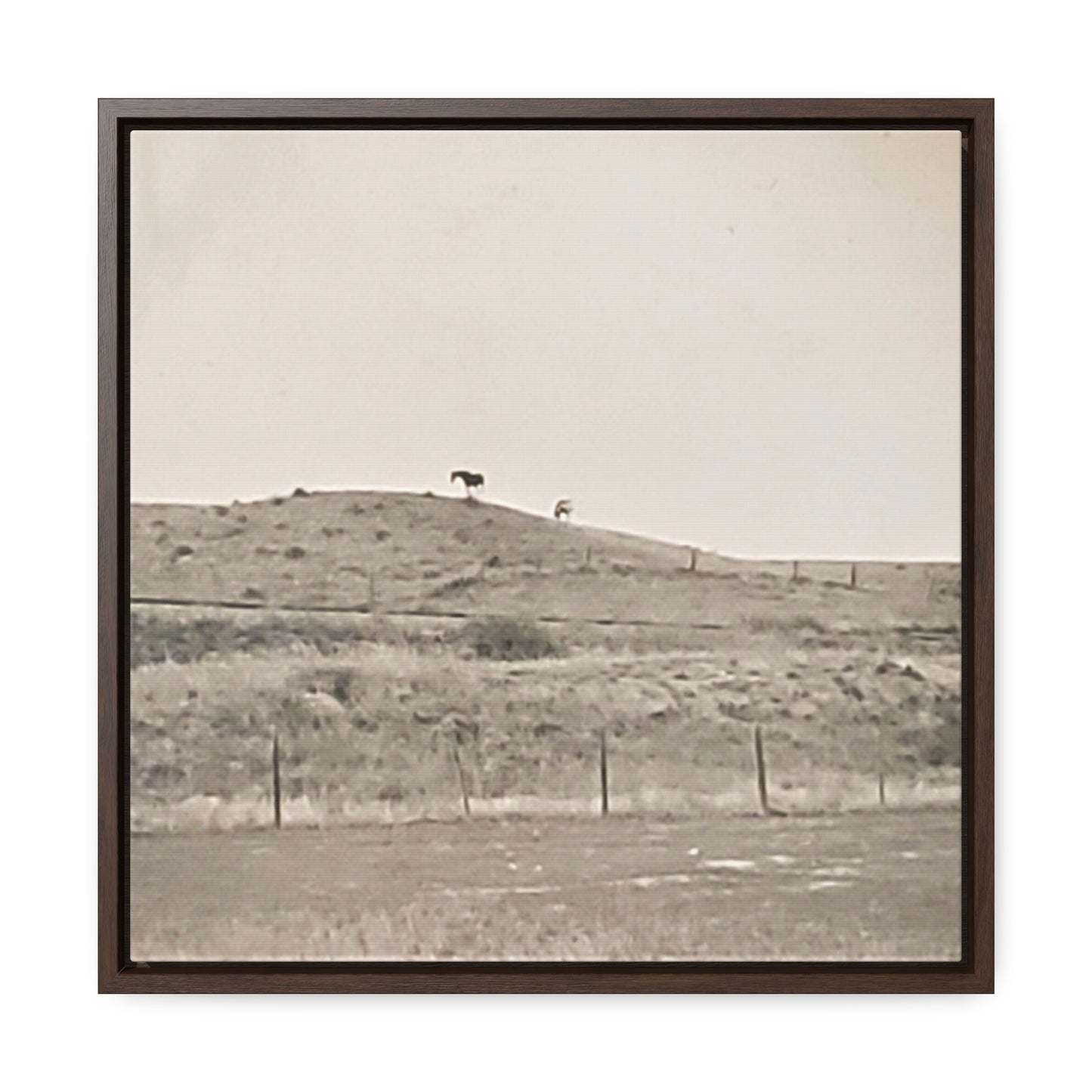 Outside Philip South Dakota Gallery Canvas Wraps, Square Frame