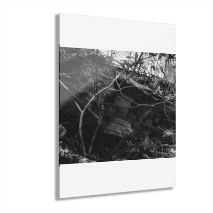 Black & White Forest Acrylic Print French Cleat Hang - - Home Decor