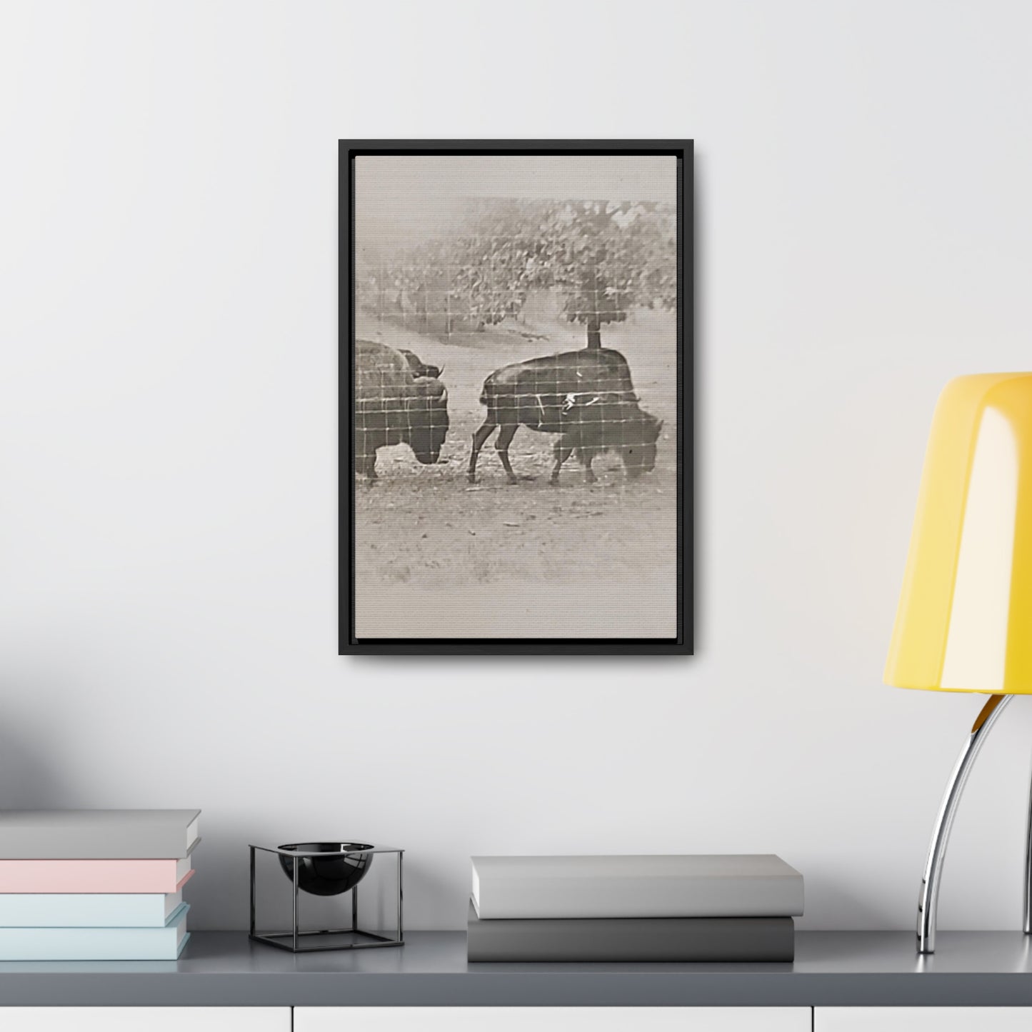 Buffalo at Redwood Falls Gallery Canvas Wraps, Vertical Frame