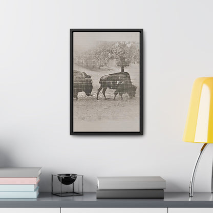 Buffalo at Redwood Falls Gallery Canvas Wraps Vertical Frame 12″ x 18″ Premium Gallery Wraps (1.25″) Black