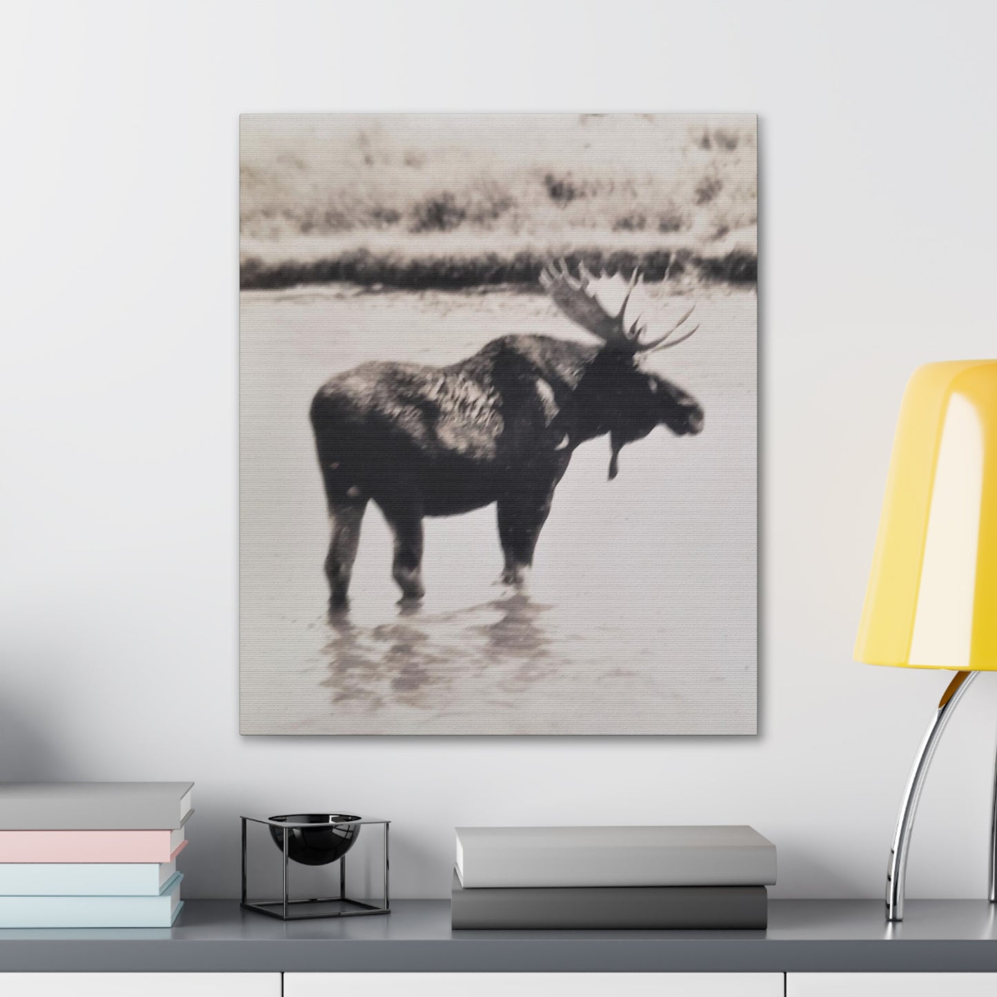 Yellowstone Bull Moose Canvas Gallery Wraps