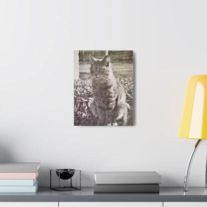 Caledonia Canvas Gallery Wraps 11″ x 14″ 1.25"