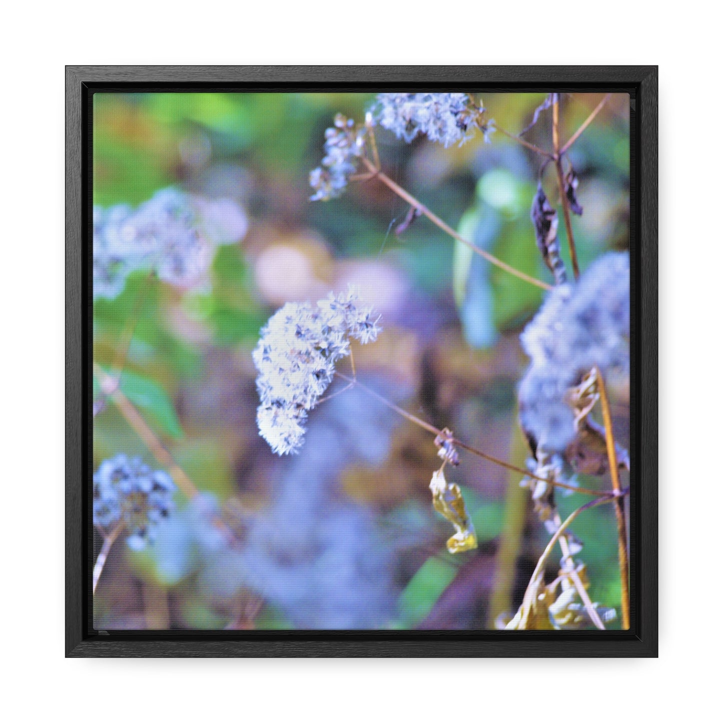 Macro Blue Gallery Canvas Wraps, Square Frame