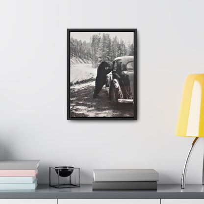 Yellowstone Bear Car Gallery Canvas Wraps Vertical Frame 12″ x 16″ Premium Gallery Wraps (1.25″) Black