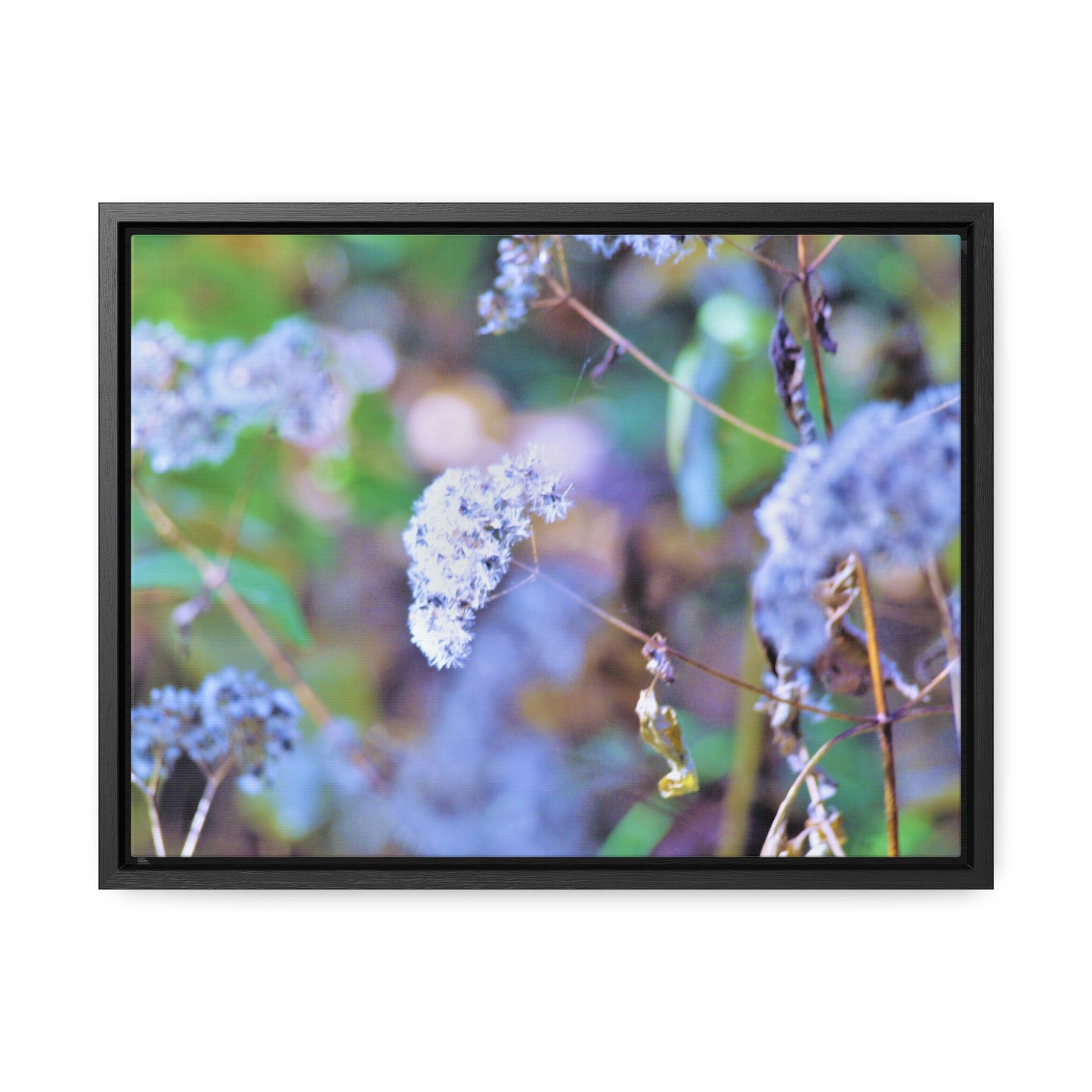 Macro Blue Gallery Canvas Wraps, Horizontal Frame