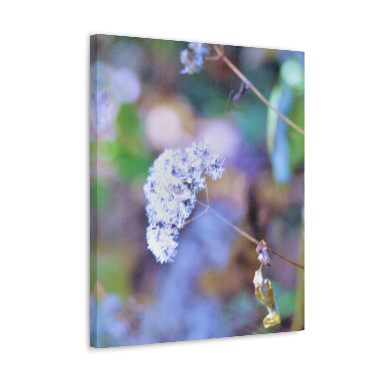 Macro Blue Canvas Gallery Wraps