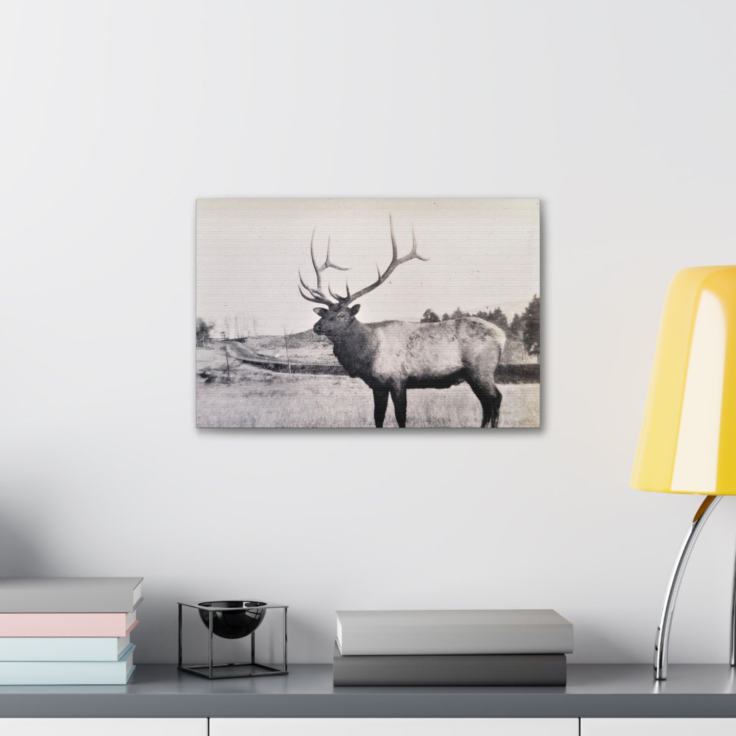 Yellowstone Bull Elk Canvas Gallery Wraps