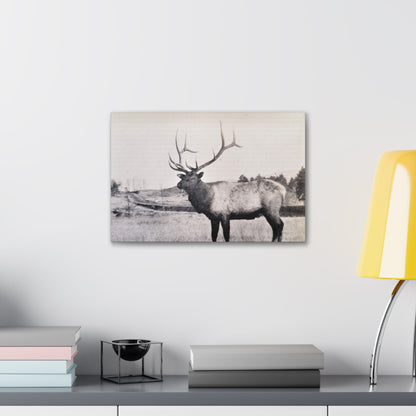 Yellowstone Bull Elk Canvas Gallery Wraps 18″ x 12″ 1.25"
