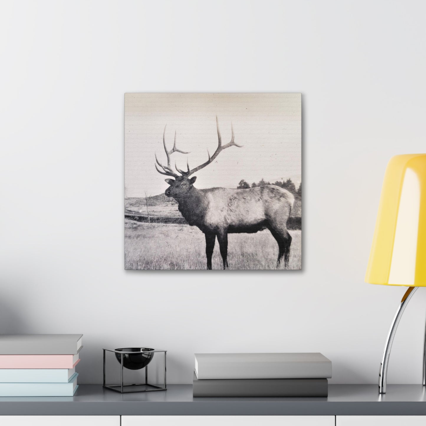 Yellowstone Bull Elk Canvas Gallery Wraps