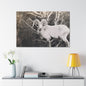 Yellowstone Big Horn Sheep Canvas Gallery Wraps 48″ x 32″ 1.25"
