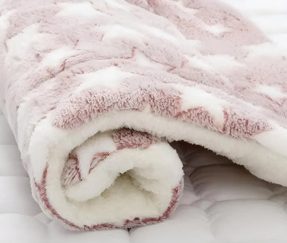 Soft Coral Sleeping Pet Blanket