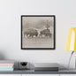 Buffalo at Redwood Falls Gallery Canvas Wraps Square Frame 16″ x 16″ Premium Gallery Wraps (1.25″) Black