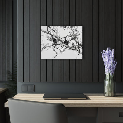 Black & White Buzzards Silhouette Acrylic Print — Modern Minimalist Wall Art - 20″ x 16″ (Horizontal) 0.25'' - Home Decor