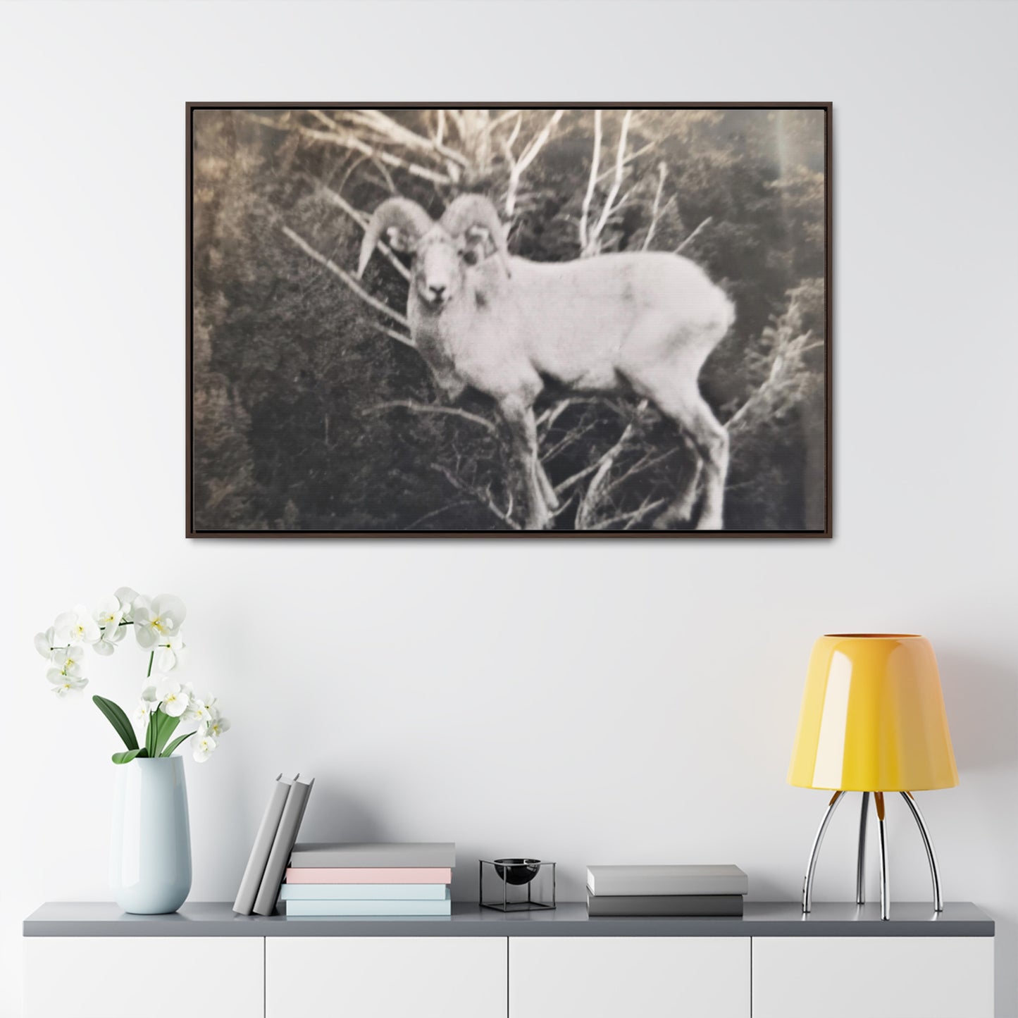 Yellowstone Big Horn Sheep Gallery Canvas Wraps, Horizontal Frame