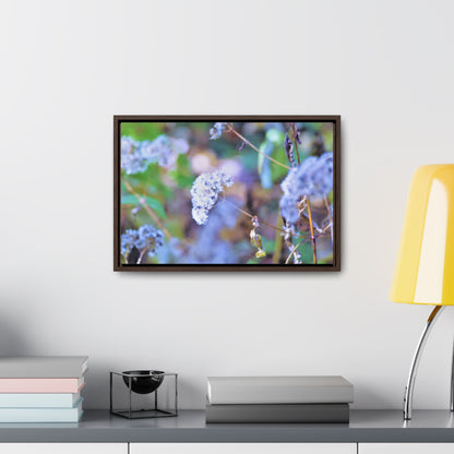 Macro Blue Gallery Canvas Wraps, Horizontal Frame