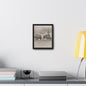 Buffalo at Redwood Falls Gallery Canvas Wraps Vertical Frame 8″ x 10″ Premium Gallery Wraps (1.25″) Black