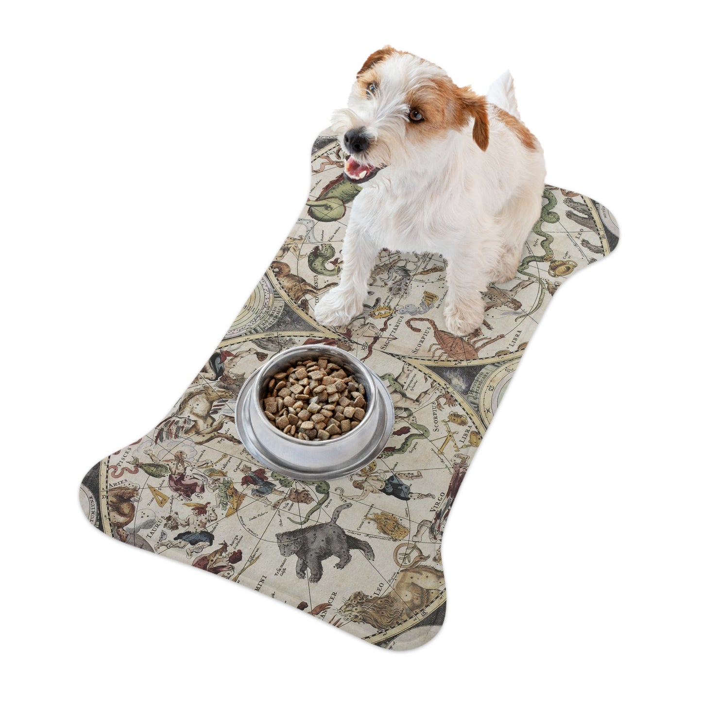 Sky Map Pet Feeding Mats