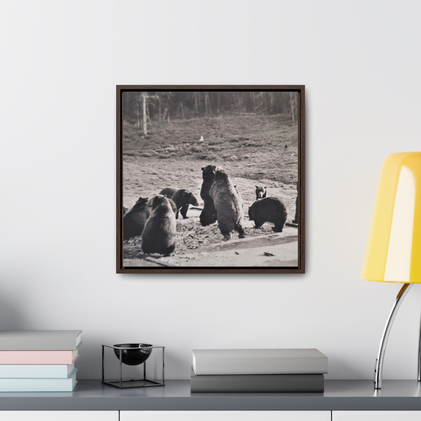 Yellowstone Grizzly Bears Gallery Canvas Wraps, Square Frame