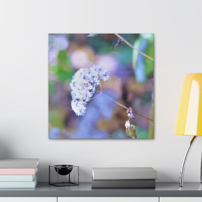 Macro Blue Canvas Gallery Wraps