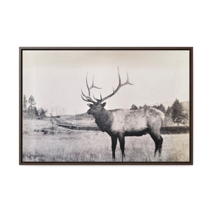 Yellowstone Bull Elk Gallery Canvas Wraps Horizontal Frame