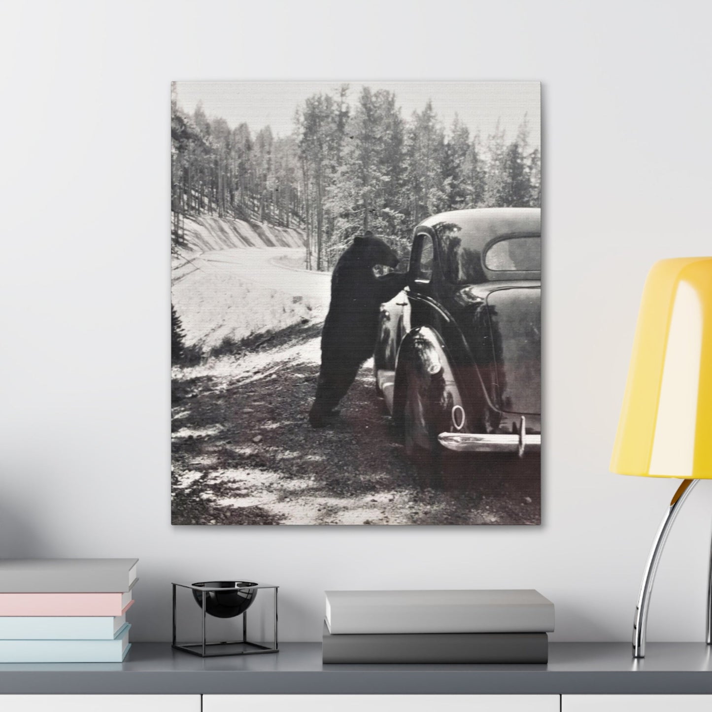 Yellowstone Bear Car Canvas Gallery Wraps 20″ x 24″ 1.25"