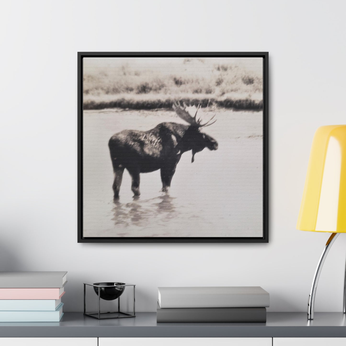 Yellowstone Bull Moose Gallery Canvas Wraps, Square Frame