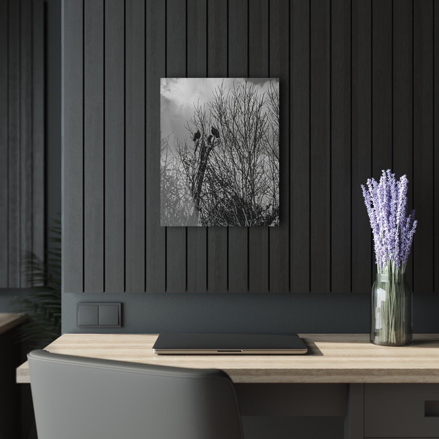 Black & White Buzzards in Winter Trees French Cleat Hanging - 16″ x 20″ (Vertical) 0.25'' - Home Decor