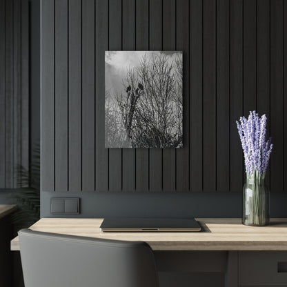 Black & White Buzzards in Winter Trees French Cleat Hanging - 16″ x 20″ (Vertical) 0.25'' - Home Decor