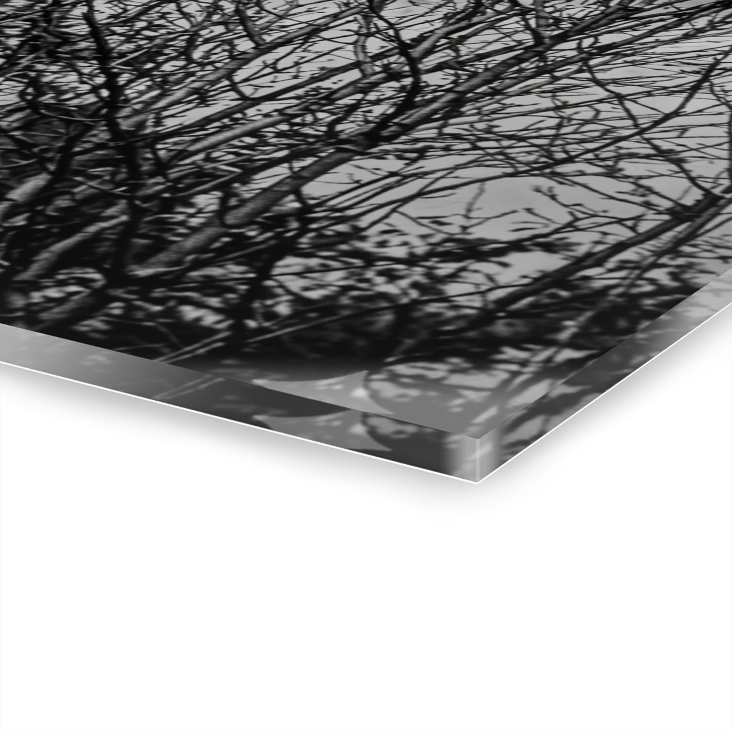Black & White Buzzards in Winter Trees French Cleat Hanging - - Home Decor