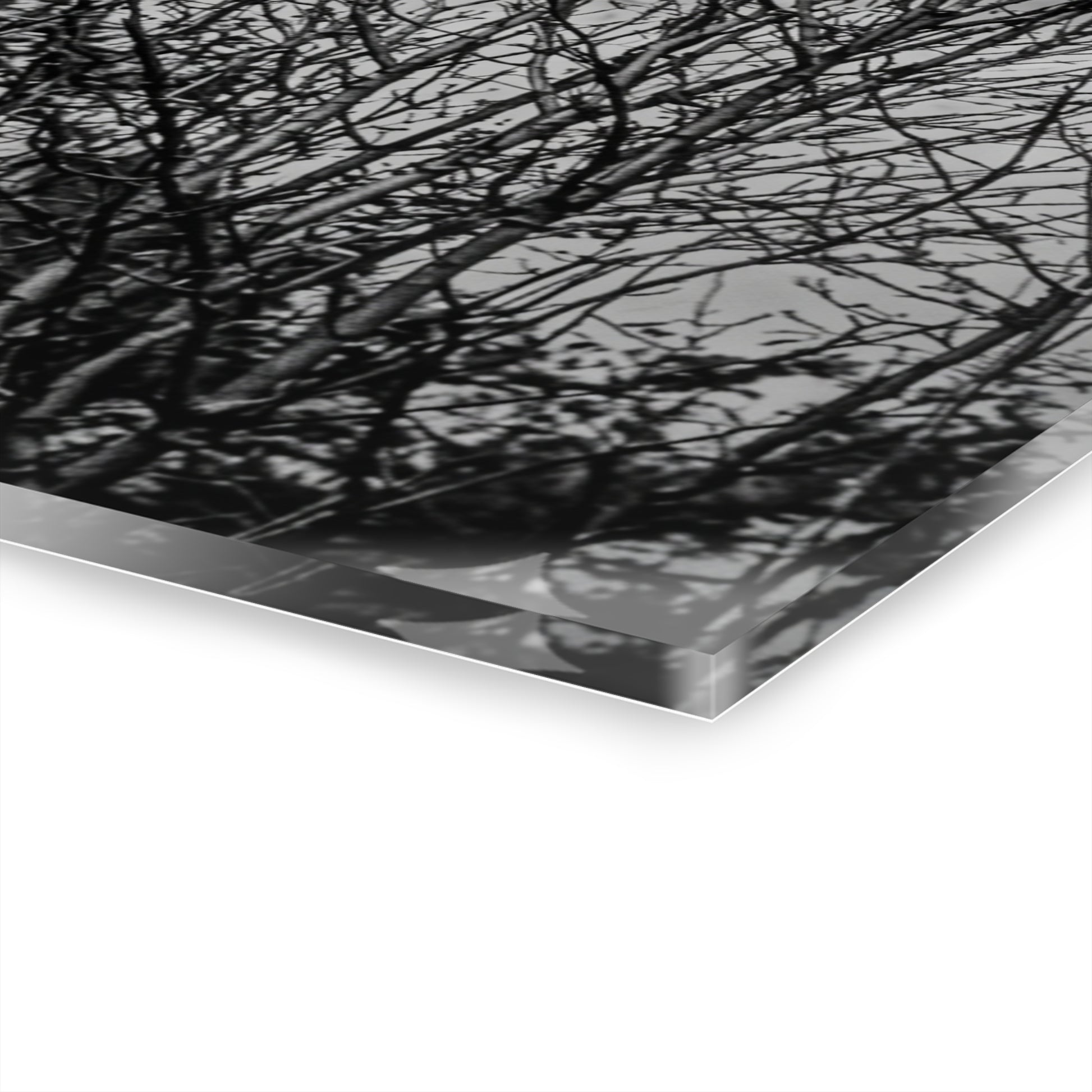 Black & White Buzzards in Winter Trees French Cleat Hanging - - Home Decor