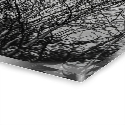 Black & White Buzzards in Winter Trees French Cleat Hanging - - Home Decor