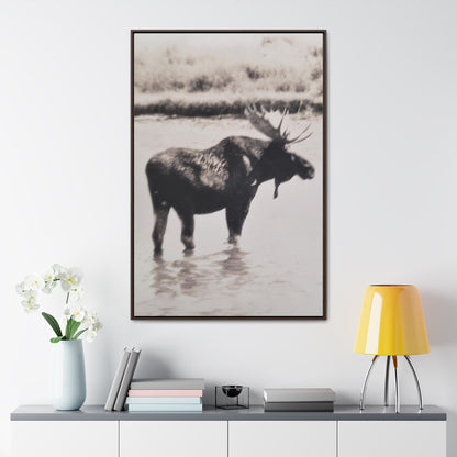 Yellowstone Bull Moose Gallery Canvas Wraps Vertical Frame 32″ x 48″ Premium Gallery Wraps (1.25″) Walnut