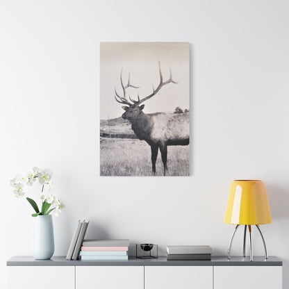 Yellowstone Bull Elk Satin Canvas Stretched 24″ x 36″ (Vertical) 1.5"