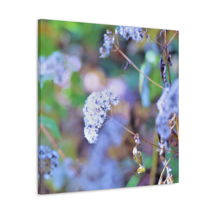 Macro Blue Canvas Gallery Wraps