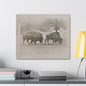 Buffalo at Redwood Falls Canvas Gallery Wraps 24″ x 20″ 1.25"