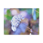 Macro Blue Canvas Gallery Wraps 24″ x 18″ 1.25"