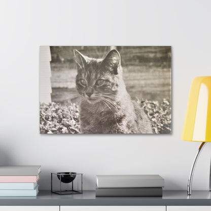 Caledonia Canvas Gallery Wraps 24″ x 16″ 1.25"