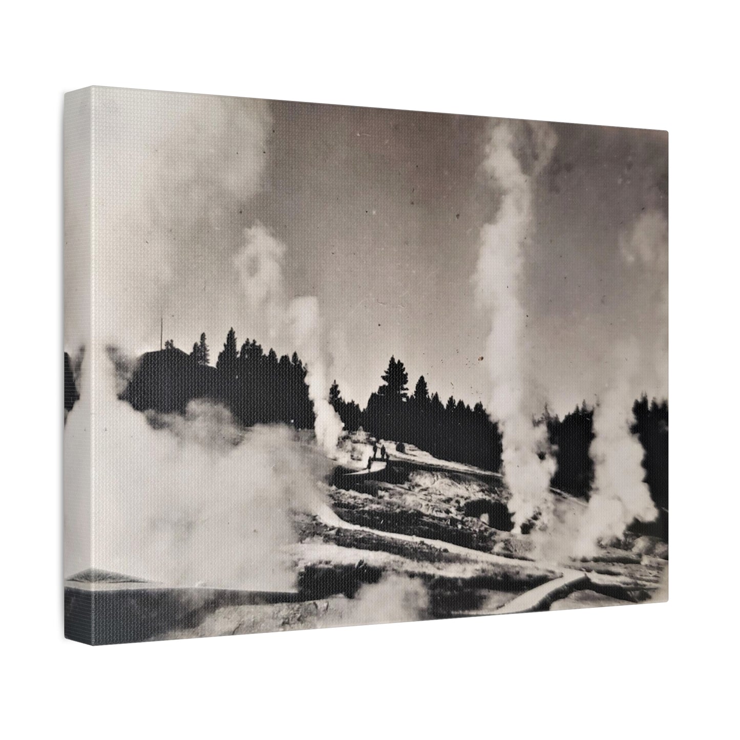 Norris Geyser Yellowstone Stretched Canvas