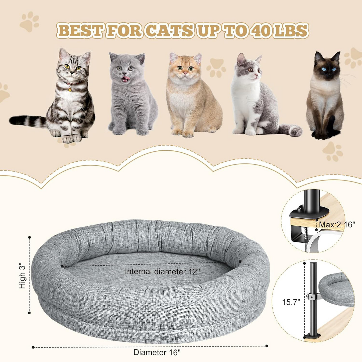 Cat Cozy Spin Bed - - Pet bed