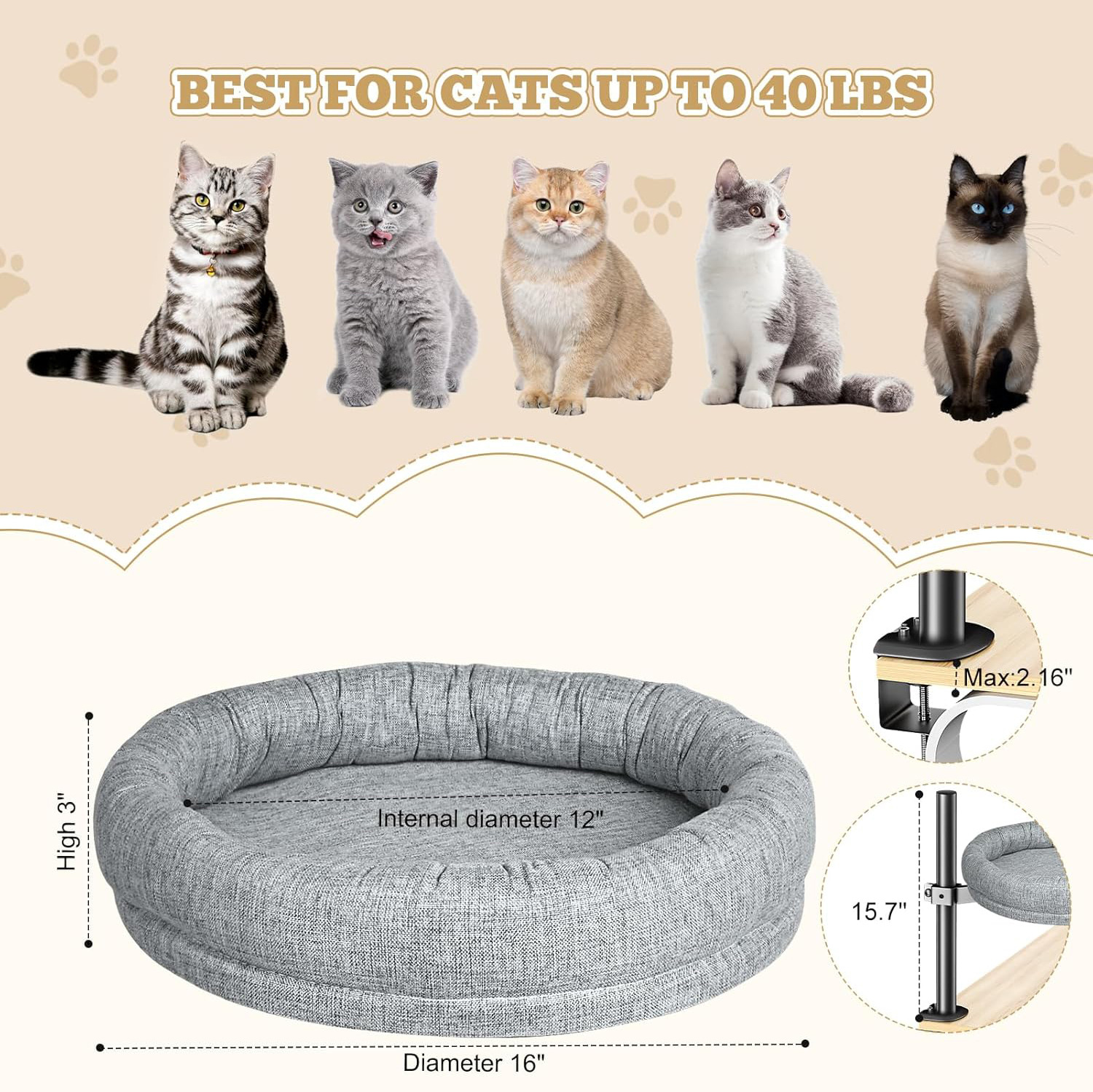 Cat Cozy Spin Bed - - Pet bed